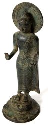 �֥å�(24.5cm)