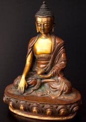 �������硼�ӥ㡡-�������夯ǡ