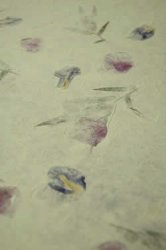 ���������»�[�֎�����](TI-WASHI-16)