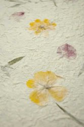 ���������»�[�֡���](TI-WASHI-18)