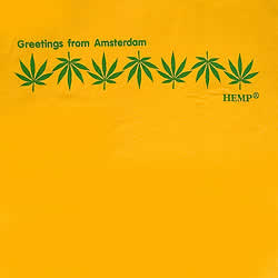 Greetings from Amsterdam