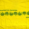 Greetings from Amsterdam�θ��̼̿�