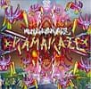 MANDALAVANDALZ - KAMAKAZE
