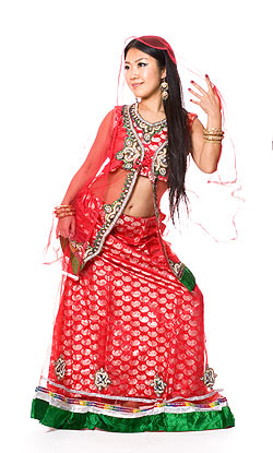 【最終値下げ】インド伝統衣装　レヘンガ　パンジャビ　ドレス　民族 インドのレヘンガ 【赤】 の通販[送料無料] - TIRAKITA.COM