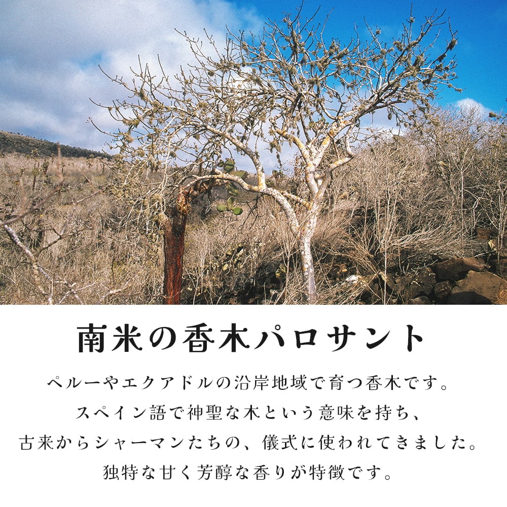 パロサント 天然の香木〔約100g〕品質の良いペルーのピウラ産 PALO SANTO チャック付き袋 ヨガや瞑想 浄化などへ の通販 -  TIRAKITA.COM