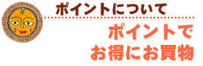 ポイントについて