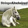 Stringed Unchainedの商品写真