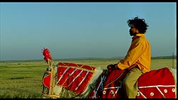 PEEPLI[LIVE][DVD] DVD-9仕様 - サブ4