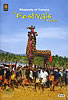 The Festivals of Kerala [DVD]の商品写真