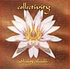 Adham Shaikh - Collectivity