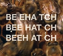 Beehatch - Beehatch(MCD-ABQ-95)