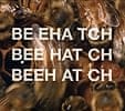 Beehatch - Beehatch