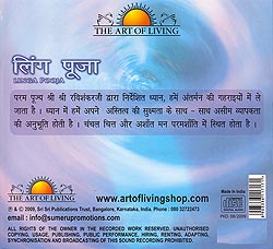 The Art of Living - Linga Pooja - サブ2
