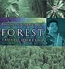 MYSTIC SOUNDSCAPES FOREST - TAUFIQ QURESHIの商品写真