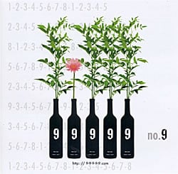 no. 9 - 9 - 9 - 9 - 9 - 9(MCD-LNR-8)