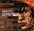 V.A. - Electric Gypsylandの商品写真
