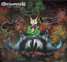 Salakavala - Magic Carpet[CD]の商品写真