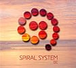 SPIRAL SYSTEM - BEの商品写真