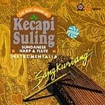 THE BEST SOUND OF KECAPI SULINGの商品写真