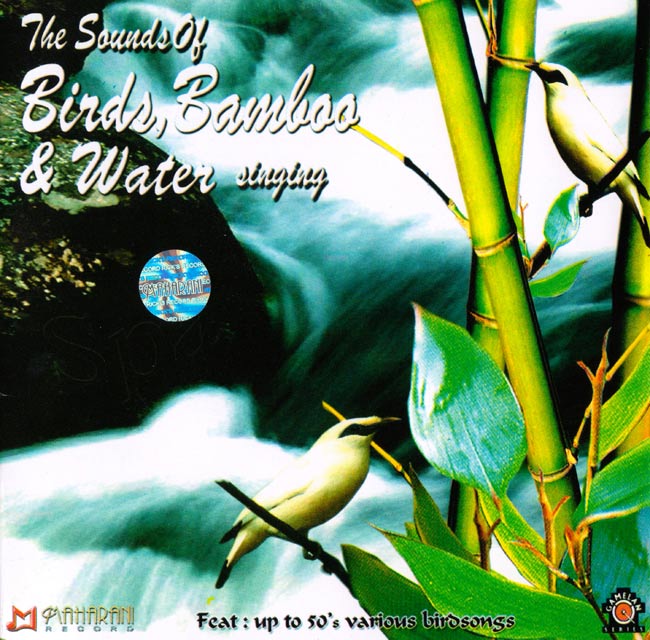 The Sound of Birds,Bamboo and Waterの写真