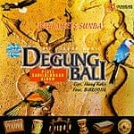 BALI MEETS SUNDA DEGUNG BALI BIRD SONGの商品写真