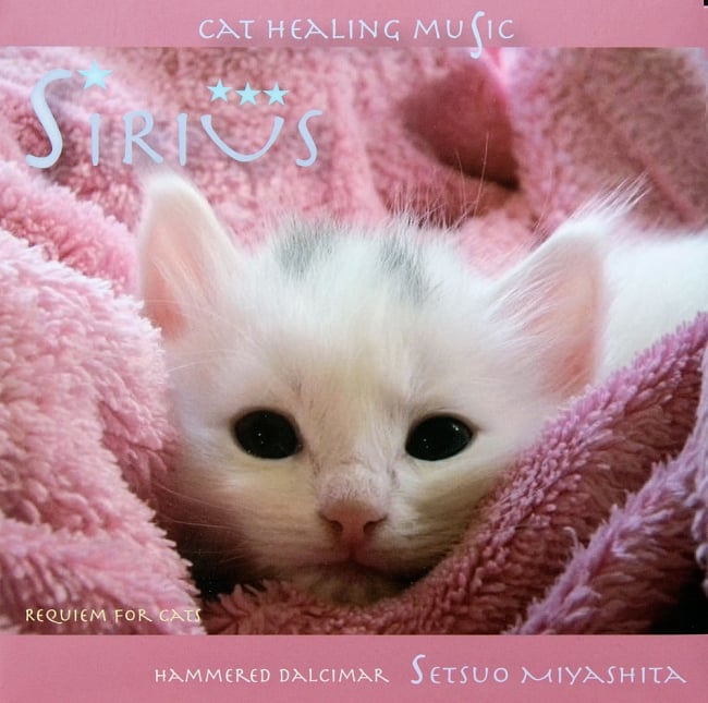 Sirius - Requiem For Cats - 宮下節雄の写真1枚目です。ジャケット写真ですジミー宮下、サントゥール、ヒーリング、Yoga