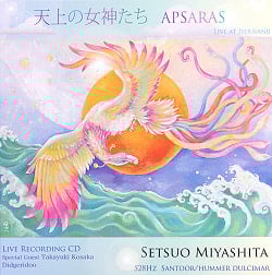 天井の女神たち APSARAS - LIVE RECORDING CD - 宮下節雄