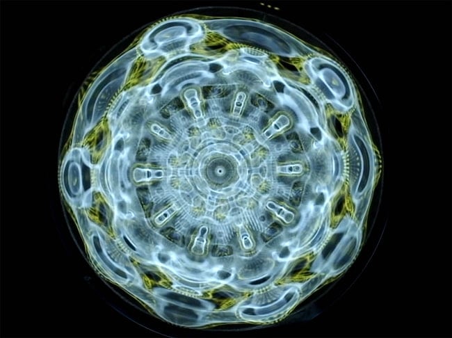 植物音楽&水の曼荼羅 - 528サイマティクスヒーリング[USB] 6 - この様な映像が入っています