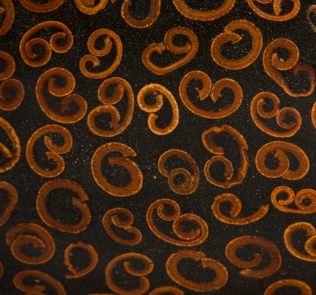 バリのシナモン飾り皿 2枚セットの商品写真 4枚目 アップにしてみました。