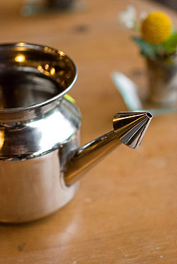 ステンレスのネティポット　鼻うがい（鼻水差し）[ 約650ml 直径：約10cm 高さ：10.5cm] - サブ2