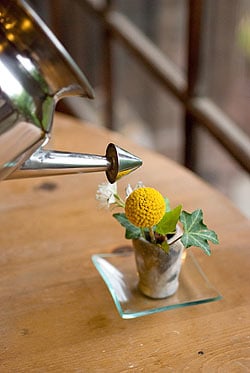 ステンレスのネティポット　鼻うがい（鼻水差し）[ 約650ml 直径：約10cm 高さ：10.5cm] - サブ5