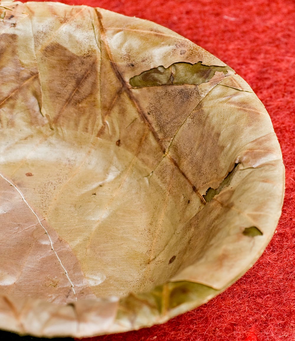 約25枚セット】インドのリーフプレート 直径14.5cm の通販 - TIRAKITA.COM