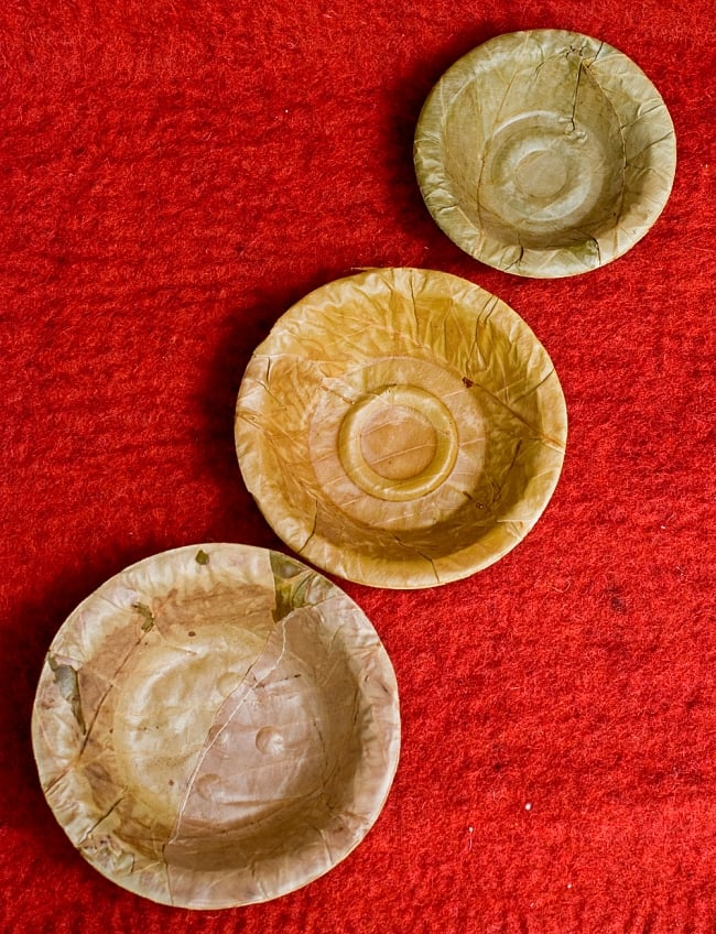 約25枚セット】インドのリーフプレート 直径14.5cm の通販 - TIRAKITA.COM