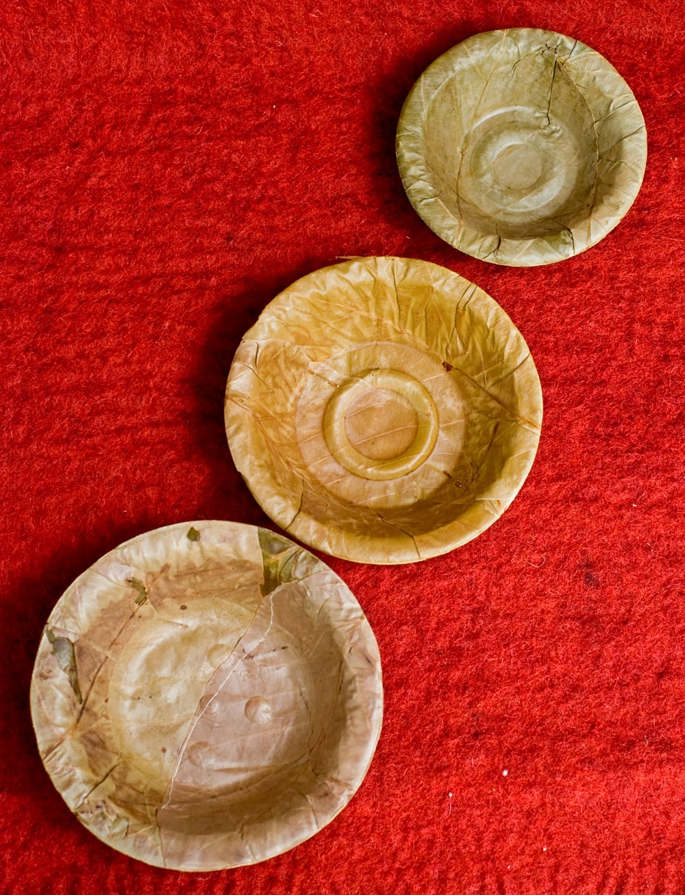 約25枚セット】インドのリーフプレート 直径14.5cm の通販 - TIRAKITA.COM