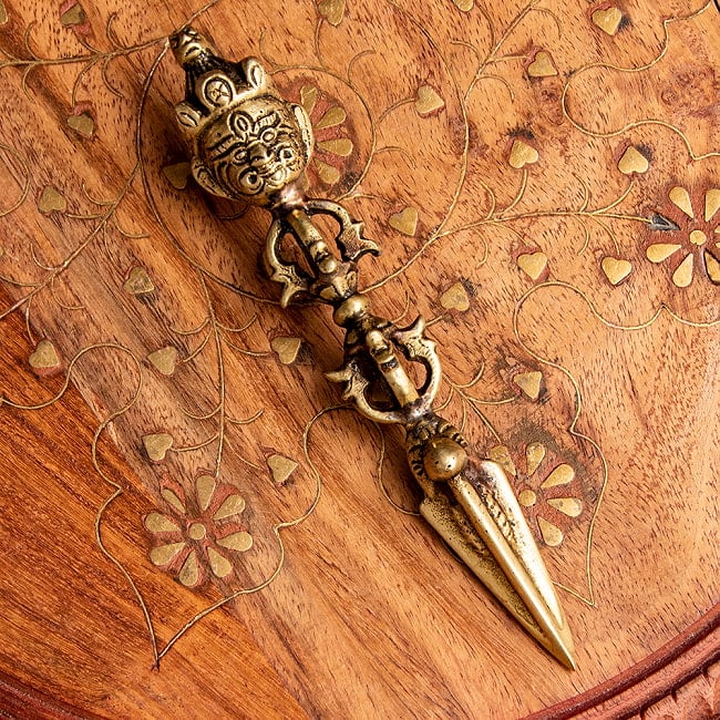プルパ（キーラ・金剛蕨）[13.5cm]の写真プルパ,キーラ,金剛蕨
