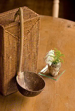 【6個セット】ココナッツの大きなお玉　持ち手縦タイプ - サブ2