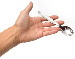 インドのスプーン6本セット(16cm) - サブ3