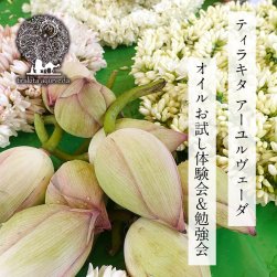 [E-TICKET・15名様限定]ティラキタ アーユルヴェーダ オイルお試し体験会＆ 勉強会  - 10月22日(水)