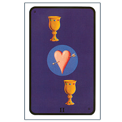 魔女のタロットデッキ - Tarot of the Witches Deck - サブ3