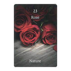 トワイライトコーヒーカード2 - twilight coffee card 2 - サブ5