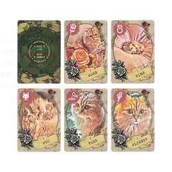 こべびカード・プレミアム - KOBEBI