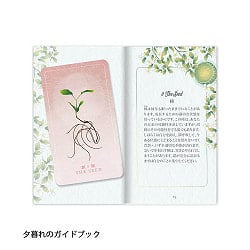 シード＆シックルオラクル - Seed & Sickle Oracle - サブ5