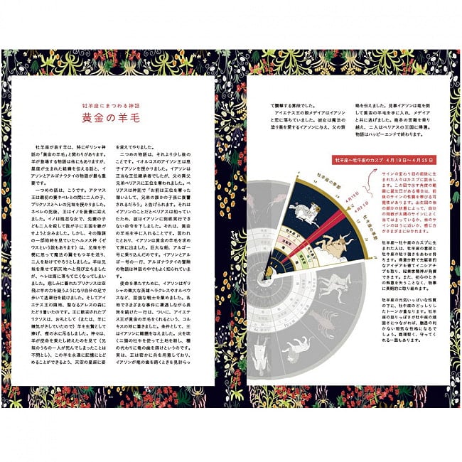 うつくしい西洋占星術の世界 12星座とホロスコープに秘められた物語 ‐ The beautiful world of Western astrology The stories hidden in t 2 - 表紙