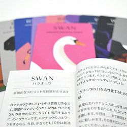 アニマルパワーデッキ - animal power deck - サブ5