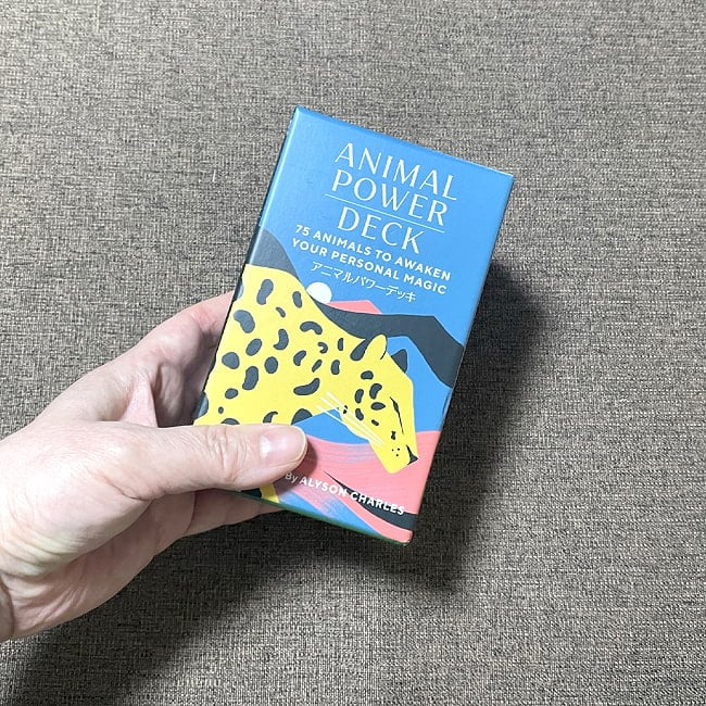 アニマルパワーデッキ - animal power deck 6 - 箱を手に持ってみました。箱を持った手は、付け根から中指の先まで約15cmです