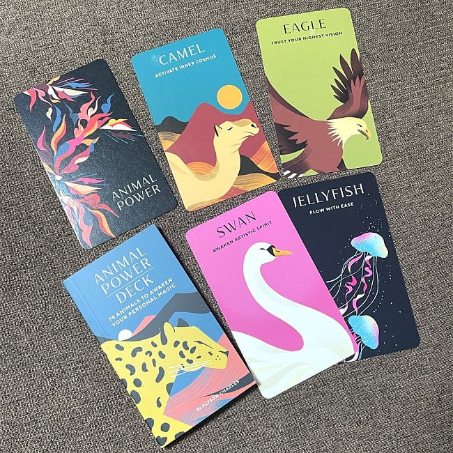 アニマルパワーデッキ - animal power deck 8 - カラフルでシンプル、動物たちがあなたに語りかけます