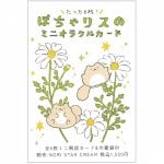 ぽちゃリスのミニオラクルカード - Pocha Squirrel Mini Oracle Card