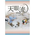 天眼流メソッドオラクルカード - Tenganryu method oracle card