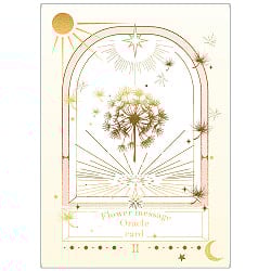 フラワーメッセージオラクルカード2 - Flower Message Oracle Cards 2の商品写真