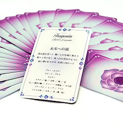 ミスティックアロマテラピーエッセンスカード　2−インターミディエイトレベル - Mystic Aromatherapy Essence Cards 2 - Intermediate Level - サブ3